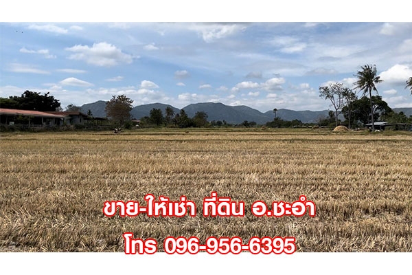 ขาย ให้เช่า ที่ดินเปล่า 3 ไร่ ชะอำ หัวหิน เพชรบุรี