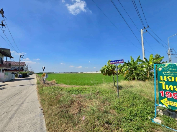 ขายด่วนที่ดินคลองหก 200 ตรว ใกล้วัดเกตุประภา ซ.ลำลูกกา 97 อ.ลำลูกกา จ.ปทุมธานี