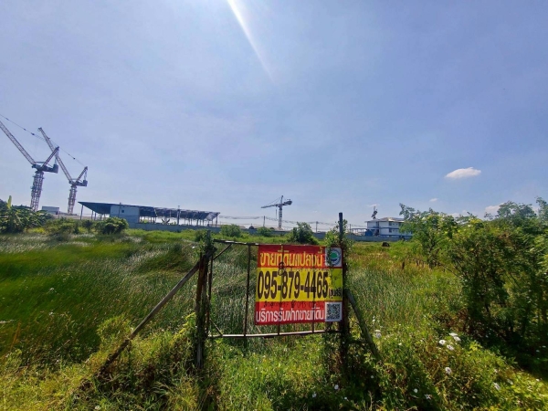 ขายด่วนที่ดินคลองหก 200 ตรว ใกล้วัดเกตุประภา ซ.ลำลูกกา 97 อ.ลำลูกกา จ.ปทุมธานี