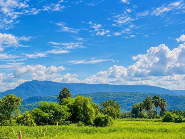 ขายด่วน ที่ดินศรีนาวา แปลงสวย วิวภูเขา ราคาน่ารักมาก 118 ตร.ว. เพียง 390,000 บาทเท่านั้น! ภาพที่ 6