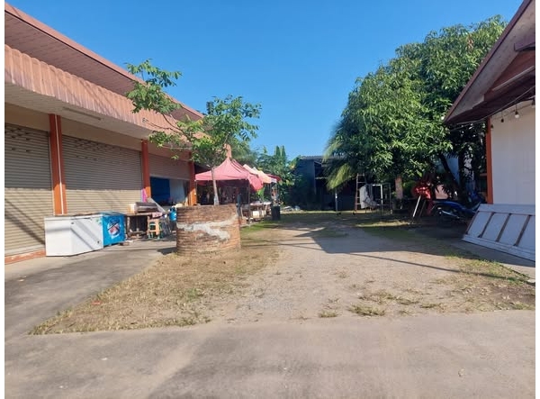 ขายอาคารพร้อมที่ดิน189 ตรว 3.8 ล้านสันป่าตองติดถนนใหญ่)