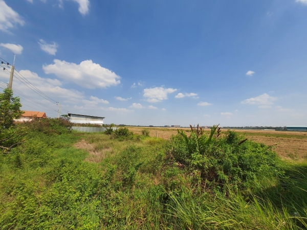 ขายที่ดินสร้างบ้านสวน 96 ตารางวา ติดถนนคอนกรีตสาธารณะ คลอง 8 ซอย หอมนรินทร์ อ.ลำลูกกา จ.ปทุมธานี