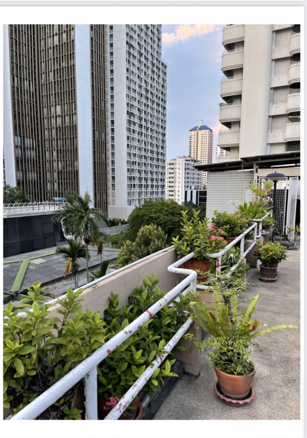 Selling land with old building prime Zone Sukhumvit