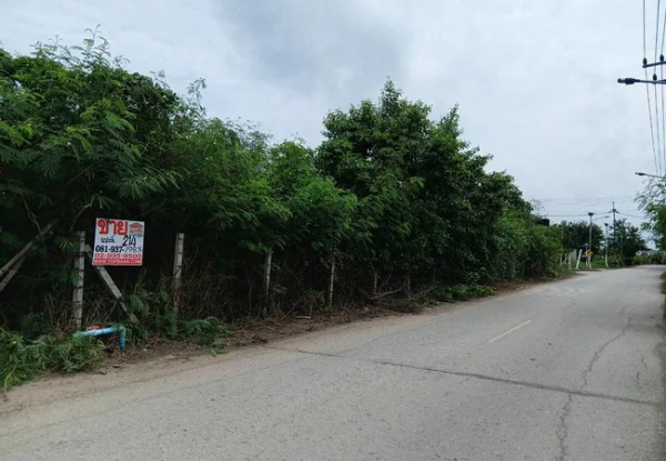 ขายที่ดิน 214 ตร.ว. หน้าม.เกษตรกําแพงแสน ถนนมาลัยแมน อำเภอกําแพงแสน นครปฐม