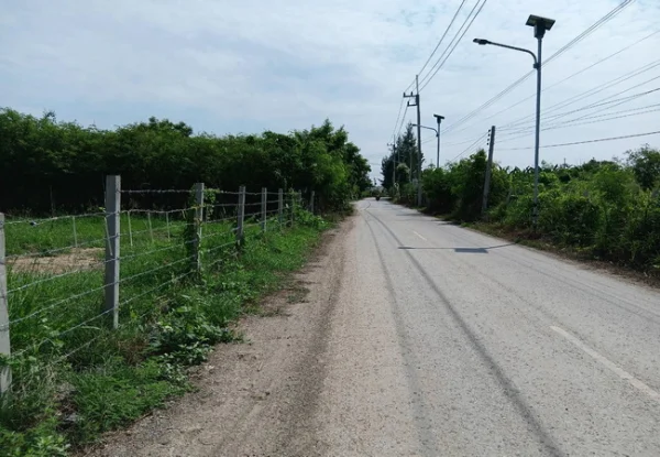 ขายที่ดิน 214 ตร.ว. หน้าม.เกษตรกําแพงแสน ถนนมาลัยแมน อำเภอกําแพงแสน นครปฐม