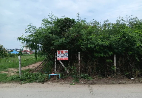 ขายที่ดิน 214 ตร.ว. หน้าม.เกษตรกําแพงแสน ถนนมาลัยแมน อำเภอกําแพงแสน นครปฐม