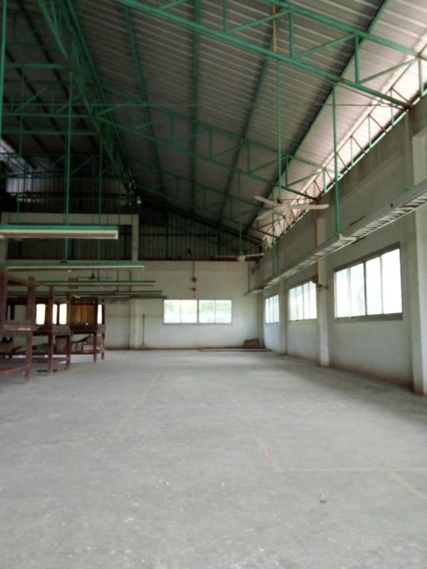 ขายที่ดินและสิ่งปลูกสร้างคลังสินค้า ห่างถนนใหญ่ 100 เมตร อ.พิมาย โคราช