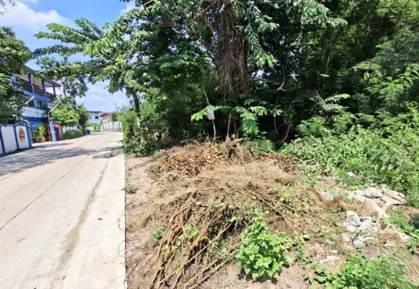 ขายที่ดิน 140 ตร.ว. ซอยทหารเรือ ถนนพุทธมณฑลสาย 4 อ้อมน้อย กระทุ่มแบน สมุทรสาคร