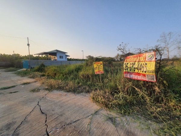 ขายด่วน ที่ดินคลองสิบสอง 110 ตร.ว ติดถนนคอนกรีตสาธารณะ ถมแล้วซ. เดอะเลกาซี่ อ.ธัญบุรี จ.ปทุมธานี