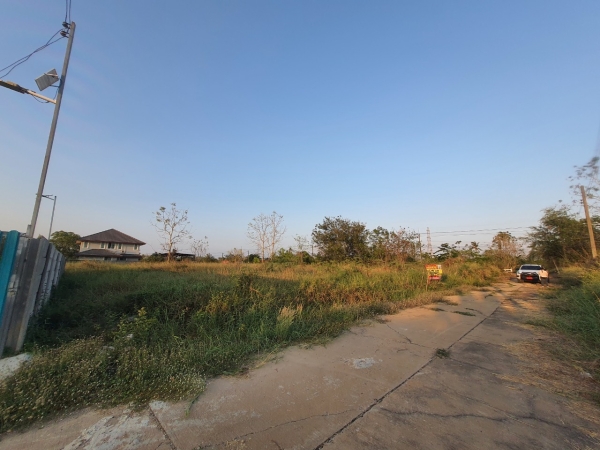 ขายด่วน ที่ดินคลองสิบสอง 110 ตร.ว ติดถนนคอนกรีตสาธารณะ ถมแล้วซ. เดอะเลกาซี่ อ.ธัญบุรี จ.ปทุมธานี