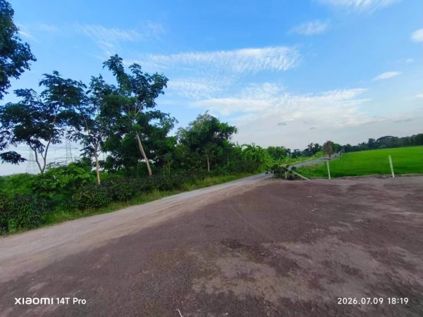 ขายด่วนที่ดิน 2-2-49 ไร่ ติดถนนสาธารณะ ถมแล้ว ซ.โรงน้ำพริก ไทรน้อย นนทบุรี