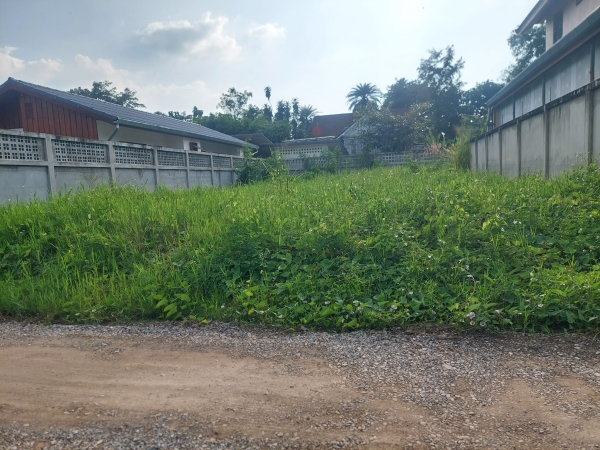 ขายที่ดิน 76 ตรว 11 ล้าน  ที่ดินเป็นรูปสี่เหลี่ยม ถนนด้านหน้าที่ดินรถยนต์สวนทางได้ สนใจติดต่อ คุณ บุ๋ม  โทร/id line 0903179683