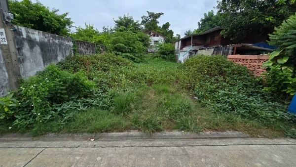 ขายด่วนที่ดิน 42 ตรว ติดถนนคอนกรีตสาธารณะ ถมแล้ว ซ.ศิริเกษม 13 ภาษีเจริญ กทม.
