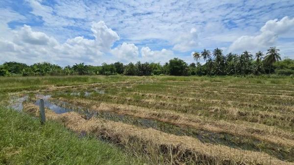 ขายด่วนที่ดิน 600 ตรว ติดถนนสาธารณะ ต.มหาสวัสดิ์ อ.พุทธมณฑล จ.นครปฐม