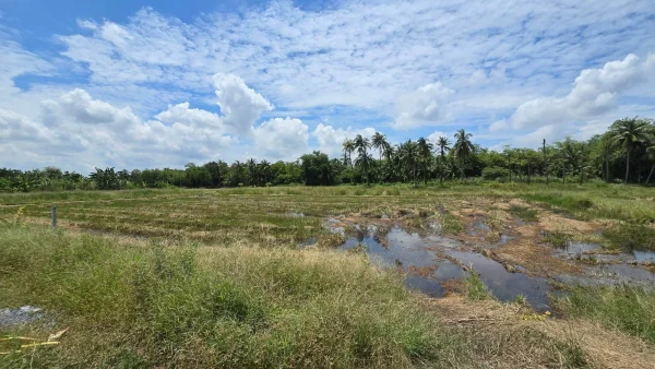 ขายด่วนที่ดิน 600 ตรว ติดถนนสาธารณะ ต.มหาสวัสดิ์ อ.พุทธมณฑล จ.นครปฐม