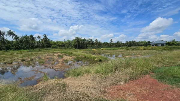 ขายด่วนที่ดิน 600 ตรว ติดถนนสาธารณะ ต.มหาสวัสดิ์ อ.พุทธมณฑล จ.นครปฐม