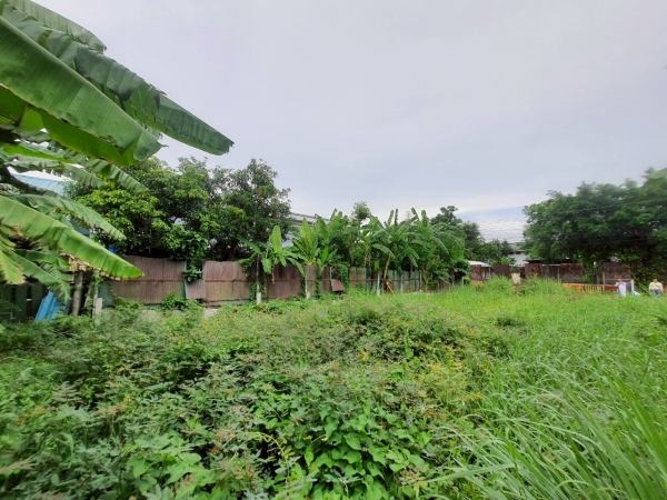 ขายที่ดินลาดสวาย 62 ตารางว ติดถนนคอนกรีตสาธารณะ  ซอย ร่วมสุข 4 อ.ลำลูกกา จ.ปทุมธานี