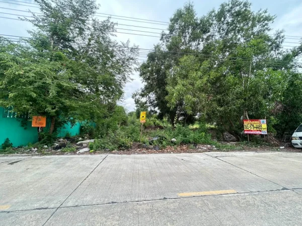 ขายที่ดิน 100 ตรว ติดถนนคอนกรีต ถมแล้ว ซ.หมู่บ้านจิตรัตนา บางบัวทอง นนทบุรี