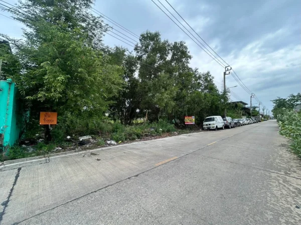 ขายที่ดิน 100 ตรว ติดถนนคอนกรีต ถมแล้ว ซ.หมู่บ้านจิตรัตนา บางบัวทอง นนทบุรี