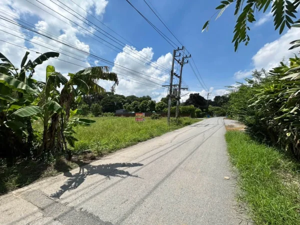 ขายด่วนที่ดิน 345 ตรว ติดถนนลาดยางสาธารณะ ถมแล้ว ต.แหลมบัว อ.นครชัยศรี จ.นครปฐม