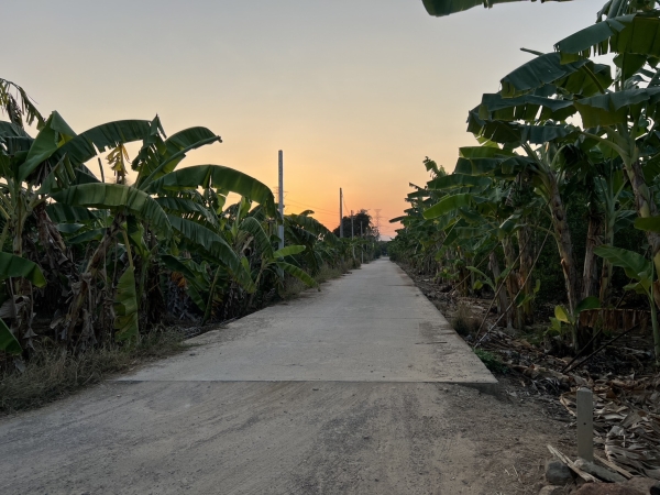 ที่ดิน 7 ไร่ 2 งาน 89 ตารางวา จังหวัดเพชรบุรี ติดถนนทางหลวงแผ่นดิน ราคา 7,000,000 บาท สามารถต่อรองได้