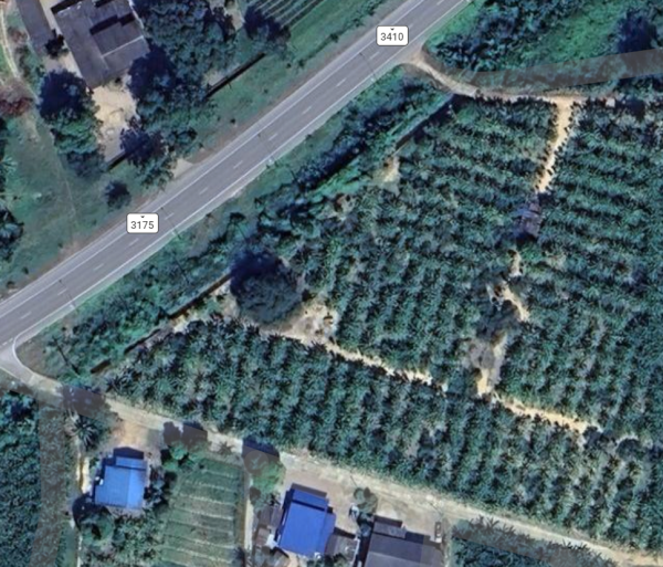 ที่ดิน 7 ไร่ 2 งาน 89 ตารางวา จังหวัดเพชรบุรี ติดถนนทางหลวงแผ่นดิน ราคา 7,000,000 บาท สามารถต่อรองได้