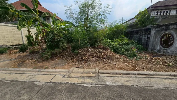 ขายด่วนที่ดินถนนเลี่ยงเมืองปากเกร็ด 96 ตรว ติดถนนสาธารณะปากเกร็ด นนทบุรี