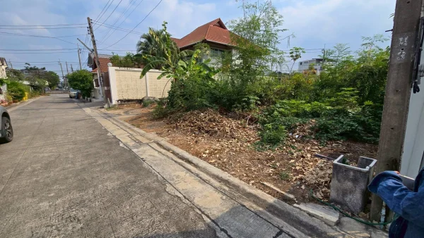 ขายด่วนที่ดินถนนเลี่ยงเมืองปากเกร็ด 96 ตรว ติดถนนสาธารณะปากเกร็ด นนทบุรี