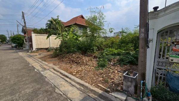 ขายด่วนที่ดินถนนเลี่ยงเมืองปากเกร็ด 96 ตรว ติดถนนสาธารณะปากเกร็ด นนทบุรี