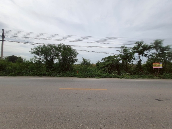 ขายที่ดินติดทางหลวงชนบท ปท.4001 เนื้อที่ 1 ไร่ เหมาะทำธุรกิจค้าขายคลอง 7 อ.หนองเสือ จ.ปทุมธานี