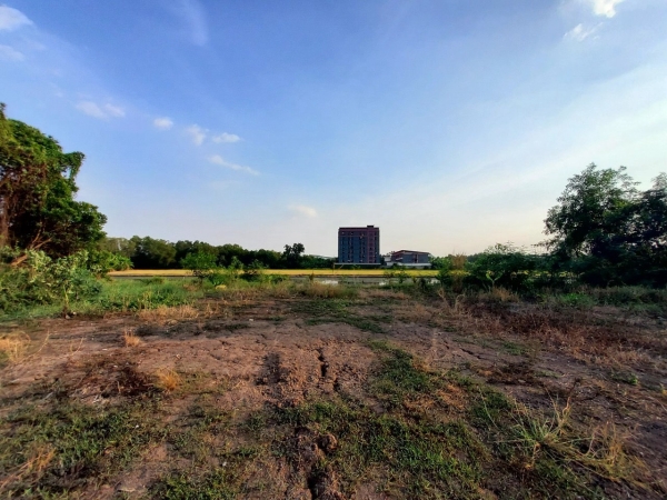 ขายที่ดินสร้างบ้านสวน 200 ตารางวา ติดถนนสาธารณะ ถมแล้ว ซอย คลองห้าตะวันออก 3 อ.คลองหลวง จ.ปทุมธานี