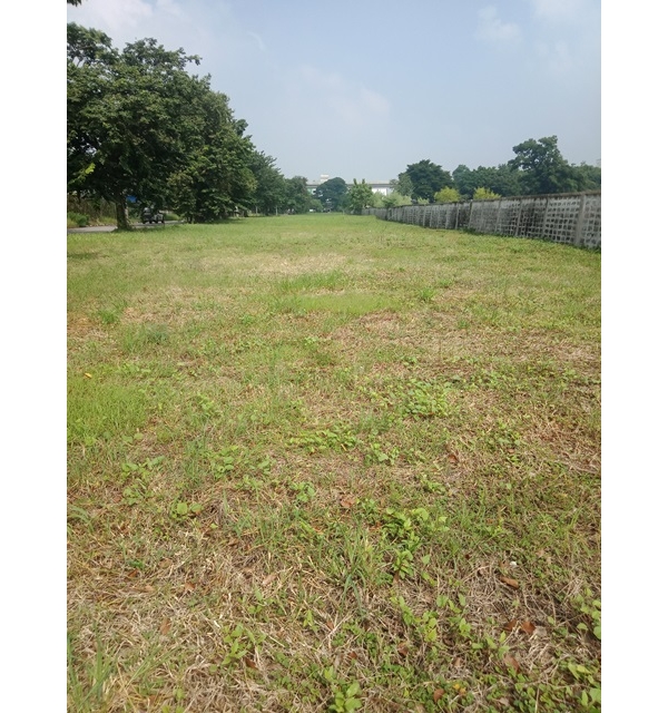 ขายที่ดินติดถนนรามคำแหง ซอย150