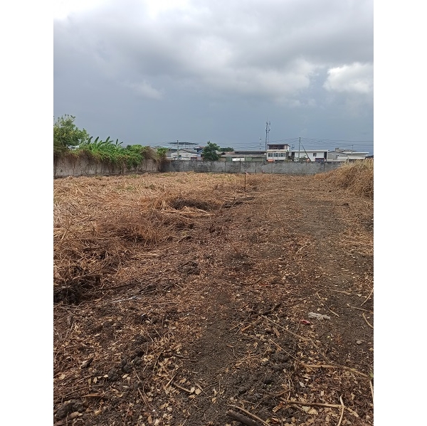 ที่ดินแบ่งขาย50ตรว. 100ตรว. 200ตรว. พระราม2 ถนนธนบุรี-ปากท่อ บางกระดี่ บางขุนเทียน กรุงเทพ