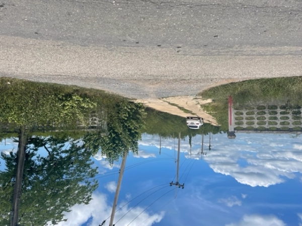 ขายที่ดิน 1 ไร่ ถมแล้ว ถนนเลียบคลองรากผักชี ตำบลบัวปากท่า อำเภอบางเลน นครปฐม 900,000 บาท