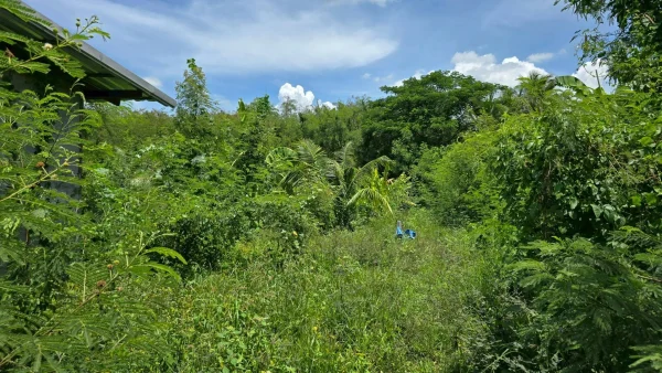 ขายที่ดิน 150 ตรว ติดถนนสาธารณะ บางบัวทอง นนทบุรี