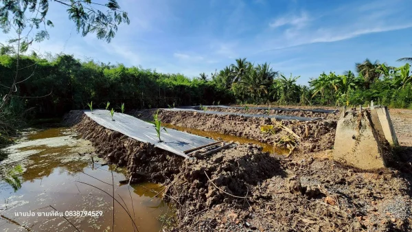 ขายที่ดิน 150 ตรว ติดถนนสาธารณะ บางบัวทอง นนทบุรี
