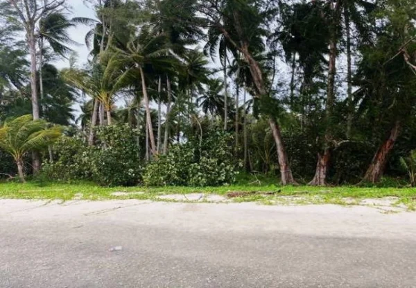 ขายที่ดิน 56-2-41 ไร่ ติดหาดสนงาม ตำบลไม้รูด อำเภอคลองใหญ่ ตราด