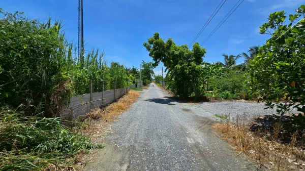 ขายด่วนที่ดินบางแวก 200 ตรว ติดถนนหินคลุก ซ.บางแวก 154 บางแค กทม.