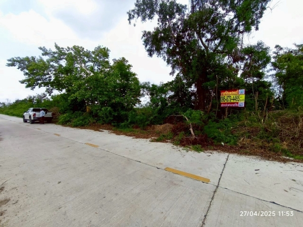 ขายที่ดินใกล้มอเตอร์เวย์ 11 ไร่ 303 ตรว ติดถนนคอนกรีตเลียบคลองแอน คลองสี่ตะวันตก อ.คลองหลวง จ.ปทุมธานี