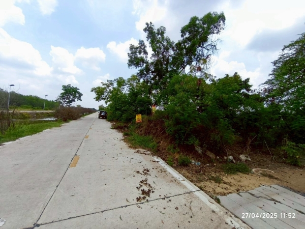 ขายที่ดินใกล้มอเตอร์เวย์ 11 ไร่ 303 ตรว ติดถนนคอนกรีตเลียบคลองแอน คลองสี่ตะวันตก อ.คลองหลวง จ.ปทุมธานี
