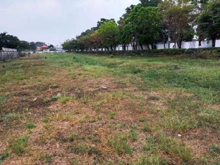 ขายที่ดินติดถนนสุขาภิบาล5