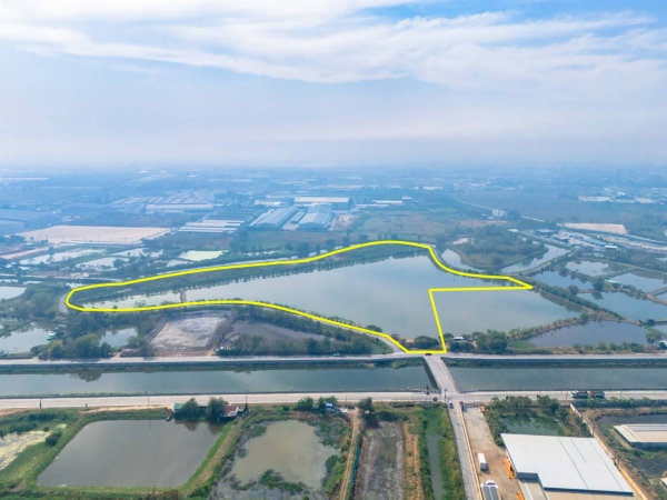 ขายที่สีม่วง 46 ไร่ ใกล้ถนนเลียบมอเตอร์เวย์ สาย 7 ใกล้นิคมอมตะ ชลบุรี  ต.บางนาง อ.พานทอง จ.ชลบุรี