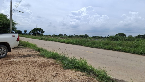 ขายที่ถมแล้ว ขายถูก ใกล้ถนนทางหลวง 3025  ท่าข้าม-สระสี่เหลี่ยม ) เนื้อที่  200  ตรว. ต.ท่าข้าม อ.พนัสนิคม จ.ชลบุรี